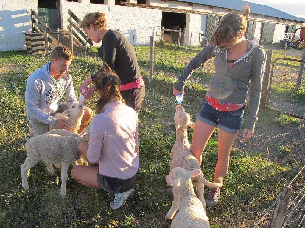 Ganora Guest Farm, Camping And Excursions Nieu-Bethesda المظهر الخارجي الصورة