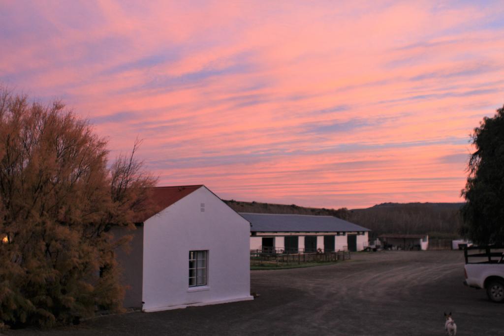 Ganora Guest Farm, Camping And Excursions Nieu-Bethesda المظهر الخارجي الصورة
