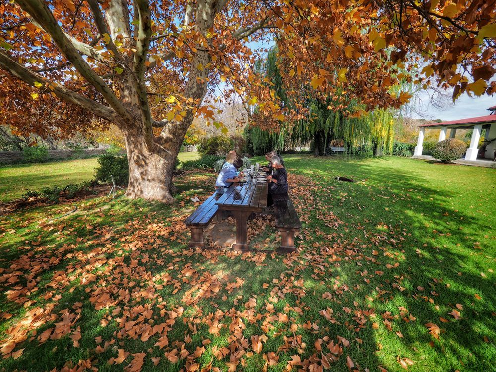 Ganora Guest Farm, Camping And Excursions Nieu-Bethesda المظهر الخارجي الصورة